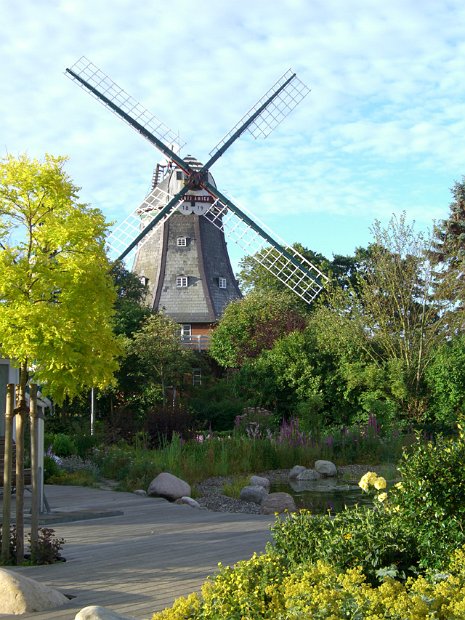 Windmühle am Park